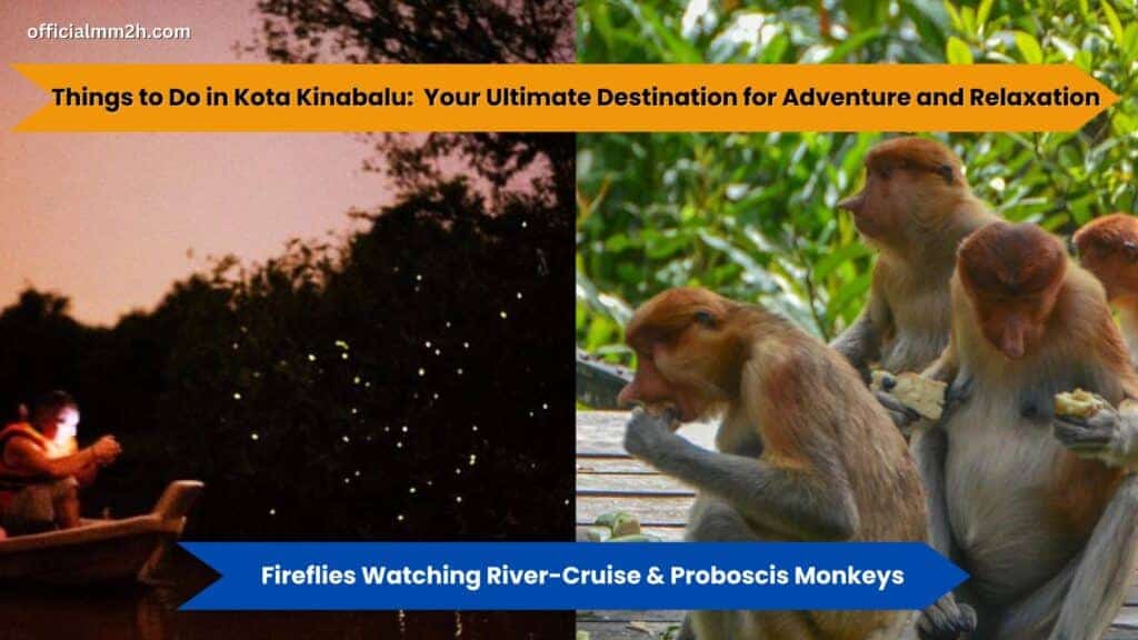 things to do in kota kinabalu with monkey