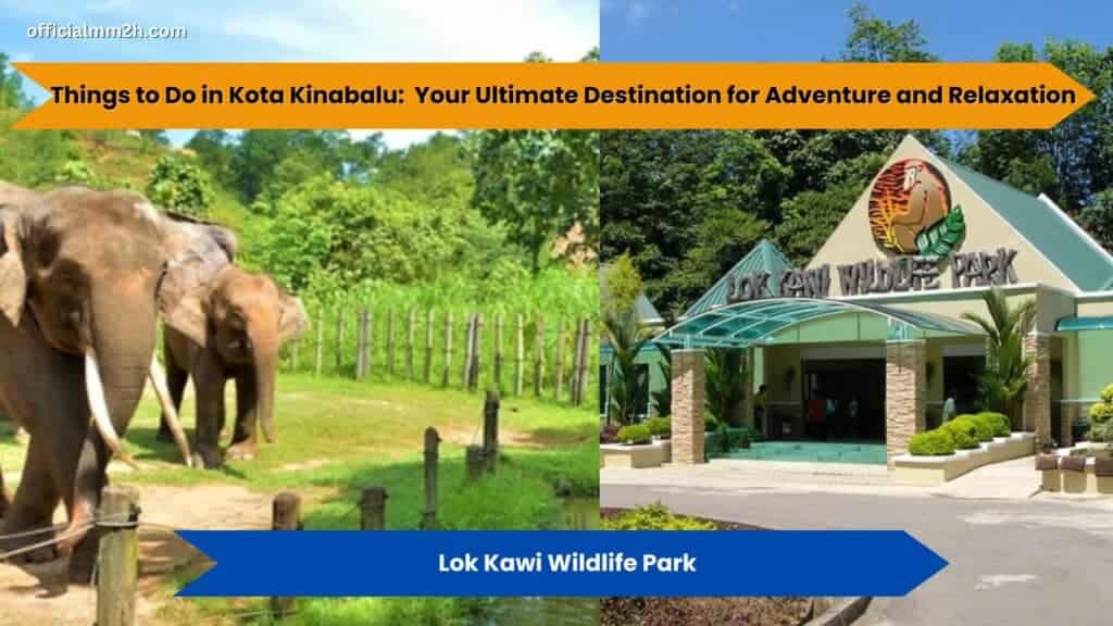 things to do in kota kinabalu with wildlife