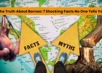 the truth about borneo