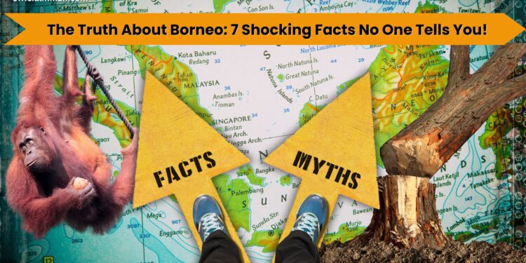 the truth about borneo