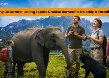why do nature loving expats choose borneo