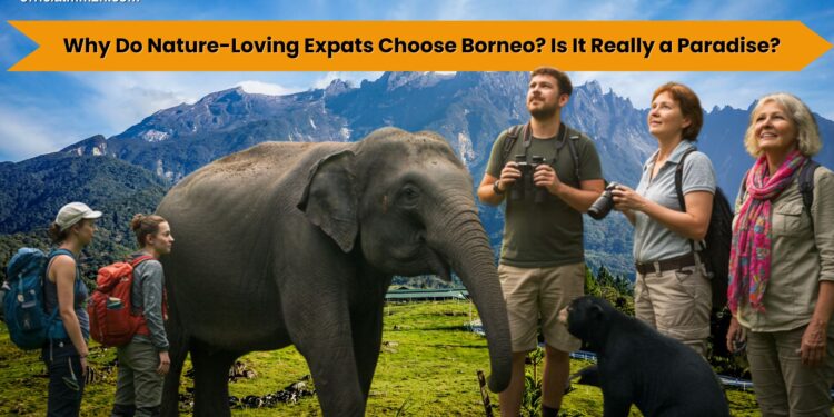 why do nature loving expats choose borneo